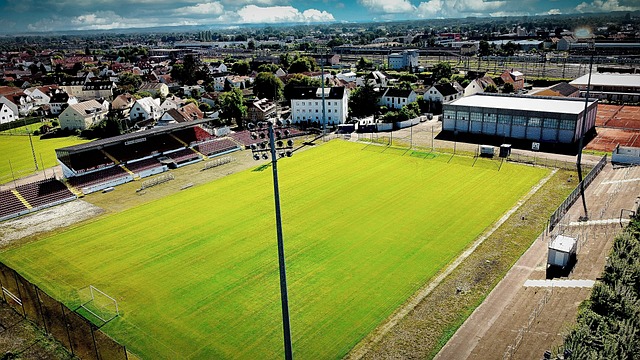 從射門效率 從射門效率