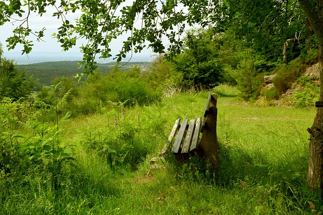 馬其頓的防 馬其頓的防