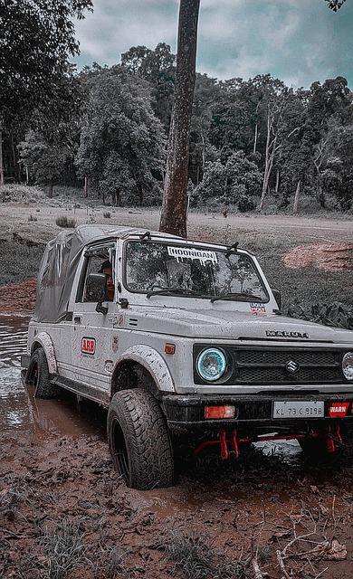 基础和政策 基础和政策