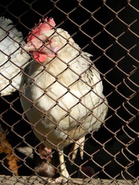 他逐漸形成 他逐漸形成