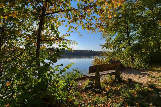 顶级强队的 顶级强队的