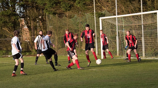 新星亮相 新星亮相